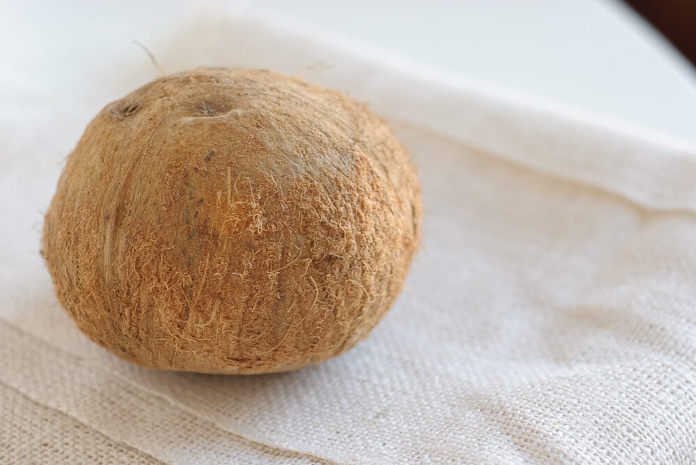 coconut-pancakes coconut pancakes