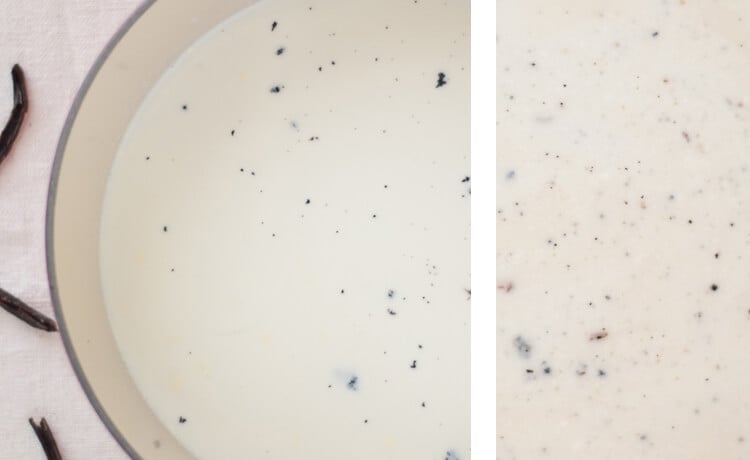 light vanilla bean ice cream