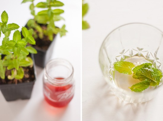 strawberry mint julep recipe