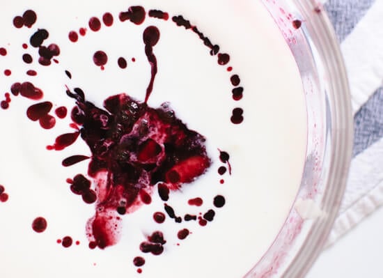 blueberry concentrate and yogurt